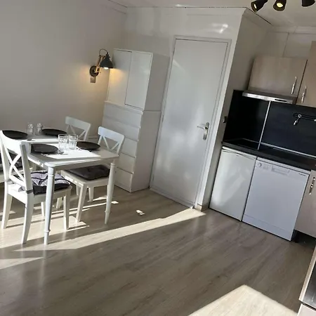 4 Pers A L'alpe D'huez Avec Balcon Et Animaux Acceptes - Fr-1-405-366